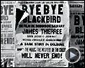 Photo : Bye bye blackbird Teaser