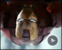 Photo : Iron Man Teaser (3) VO