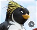 Photo : Les Rois de la glisse Teaser VF
