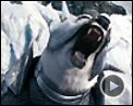 Photo : A la croisée des mondes : la boussole d'or Extrait vidéo (2) VO