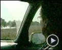Photo : We Feed the World - le marché de la faim Extrait vidéo (3) VO