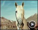 Photo : James Huth, Bruno Salomone Interview 8 : Lucky Luke