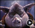 Photo : Les Chroniques de Spiderwick Extrait vidéo (4) VO