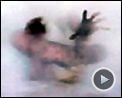 Photo : The Mist Bande-annonce VF