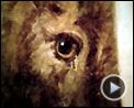 Photo : Ce que mes yeux ont vu Extrait vidéo (2)