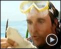 Photo : L'Amour de l'or Bande-annonce VO