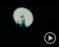 Photo : X Files - Régénération Extrait vidéo VO