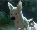 Photo : Volt, star malgré lui Extrait vidéo (2) VF