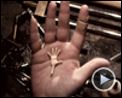 Photo : Coraline Making Of (2) VO