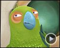 Photo : Jasper, pingouin explorateur Extrait vidéo (3)