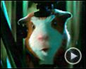 Photo : Mission-G Extrait