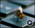 Photo : Mission-G Extrait vidéo (4) VF