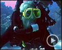 Photo : The Cove - La Baie de la honte Bande-annonce VO