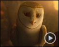 Photo : Le Royaume de Ga'Hoole - la légende des gardiens Bande-annonce VO