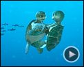 Photo : Le Voyage extraordinaire de Samy Bande-annonce VF