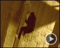 Photo : Faites le mur ! Teaser (3) VO