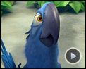 Photo : Rio Bande-annonce VF