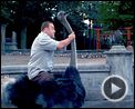 Photo : Zookeeper Bande-annonce (2) VO