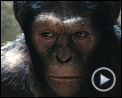 Photo : La Planète des singes : les origines Bande-annonce (3) VF