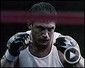 Photo : Warrior Extrait vidéo