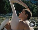 Photo : Nicostratos le pélican Bande-annonce VF
