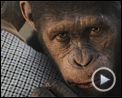 Photo : La Planète des singes : les origines Extrait vidéo VF