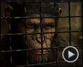 Photo : La Planète des singes : les origines Extrait vidéo (2) VO