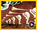 Photo : Monty Python, sacré Graal Bande-annonce VO