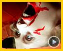Photo : Suspiria Bande-annonce VF