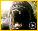 Photo : King Kong Bande-annonce VO