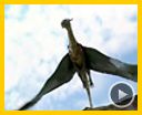 Photo : Eragon Bande-annonce
