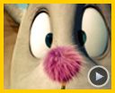 Photo : Horton Bande-annonce VO