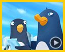 Photo : Jasper, pingouin explorateur Bande-annonce
