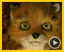 Photo : Fantastic Mr. Fox Bande-annonce VO