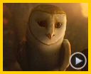 Photo : Le Royaume de Ga'Hoole - la légende des gardiens Bande-annonce VO