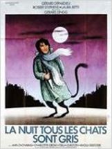La Nuit tous les chats sont gris