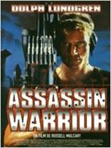 Assassin Warrior