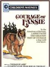 Le Courage de Lassie