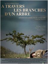 A travers les branches d'un arbre