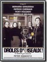 Droles d'oiseaux !