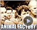 Animal Factory Bande-annonce VO