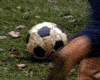 Together Extrait vidéo VF
