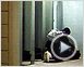 Half Nelson Extrait vidéo VO