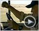 Jindabyne, Australie Extrait vidéo VO