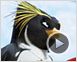 Les Rois de la glisse Teaser VF
