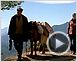 Le Dernier voyage du juge Feng Extrait vidéo (2) VO