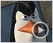 Madagascar 2 Bande-annonce (2)