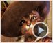 La Véritable histoire du Chat botté Bande-annonce