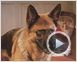 Comme chiens et chats - La Revanche de Kitty Galore Teaser VF
