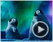 Happy Feet 2 Bande-annonce VF